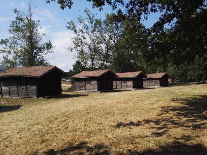 Azienda Agrituristica Selvaggi Image