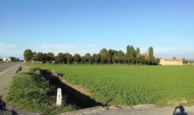 Azienda agricola la mirabella