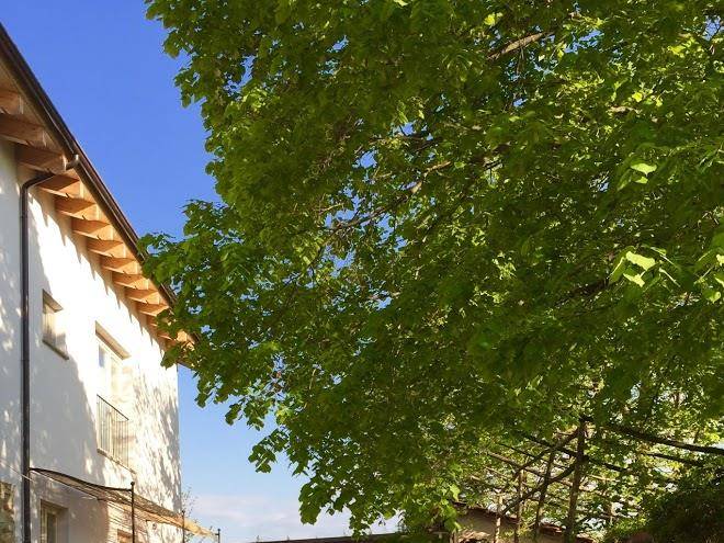 B&b al giardino dei mandorli