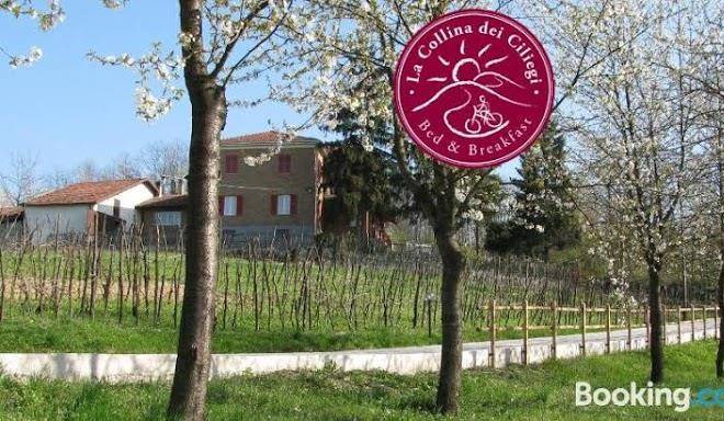 B&b la collina dei ciliegi
