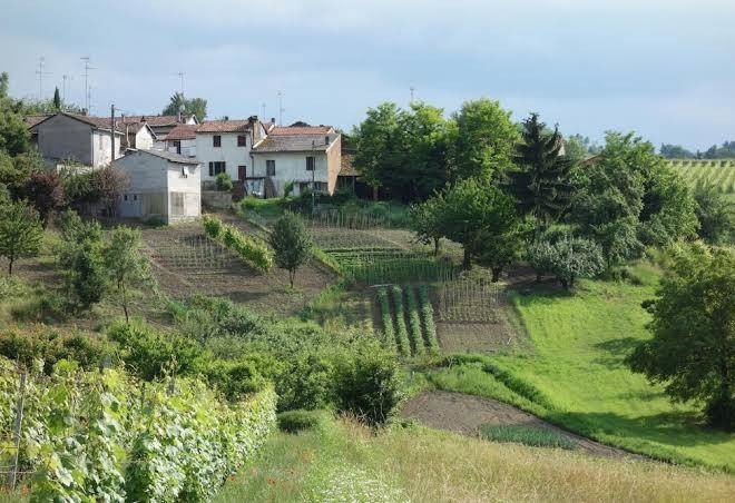Bed and breakfast agriturismo cascina alberta