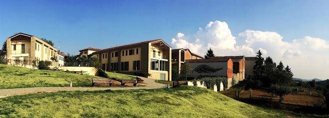 Borgo di castellania