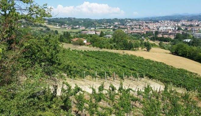 Tenuta il palazzo