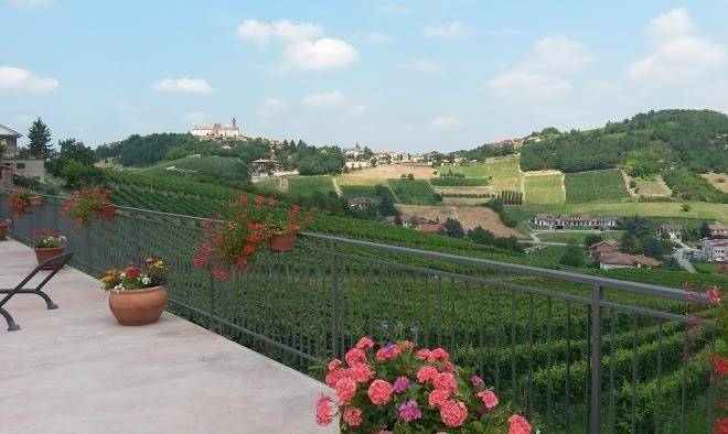 Amerio vincenzo vini agriturismo ca del nono