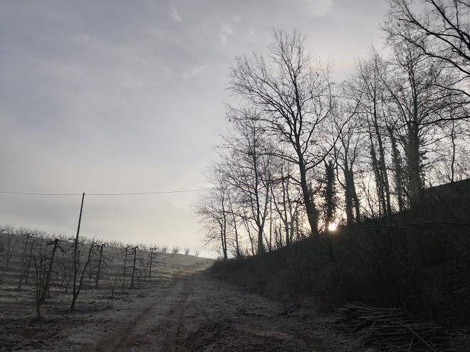 B&b cascina la gioia
