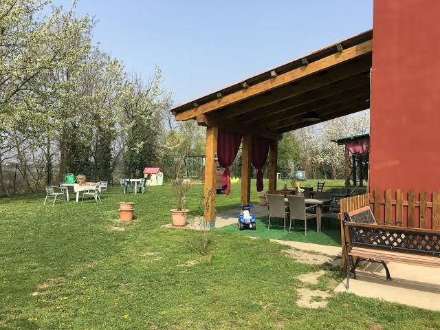 La rosa tra le vigne