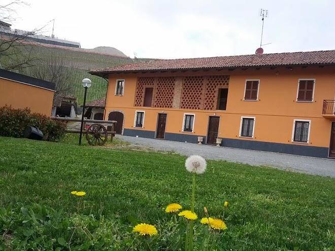 La sosta di bacco
