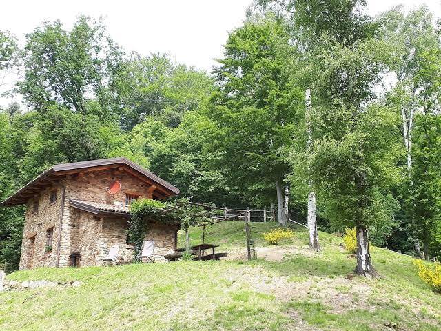Agriturismo l'arbo