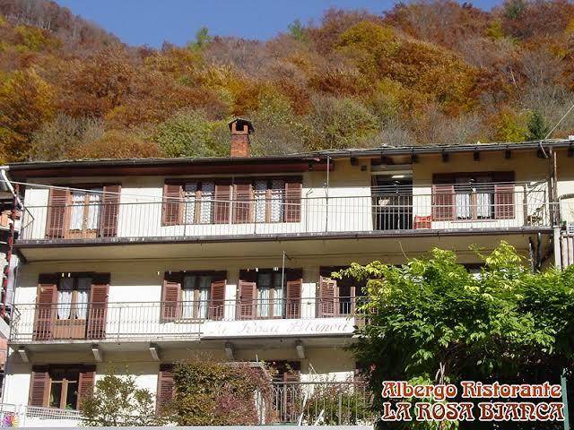 Albergo bar ristorante rosa bianca