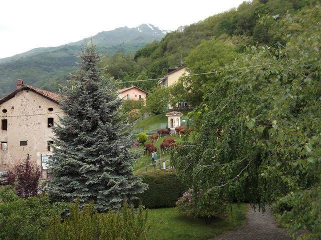 Belle epoque di stratta renza