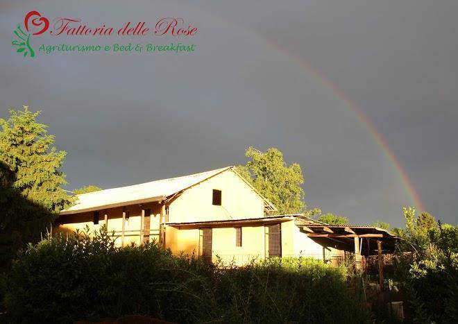 Fattoria Delle Rose Image