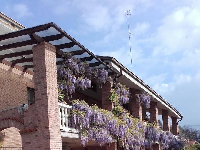 Agriturismo doremi b&b farm
