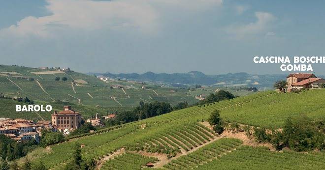Az agr gomba cascina boschetti