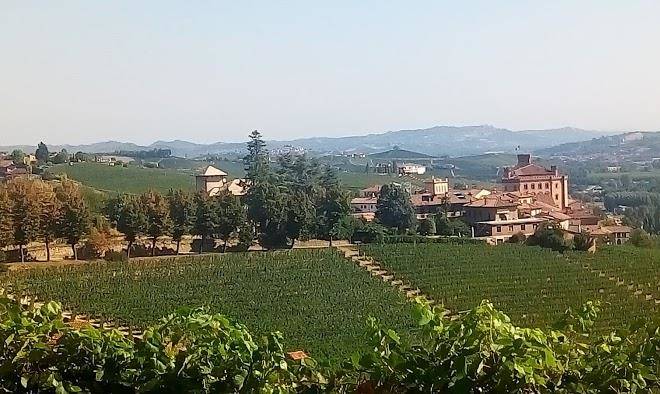 Azienda agricola cagliero ss