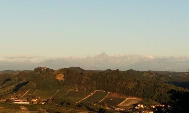 Ca' dei vini d'alba