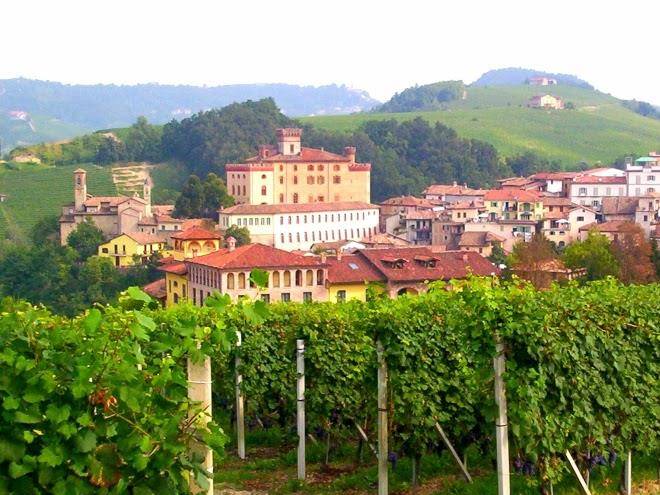 Easy cosi barolo