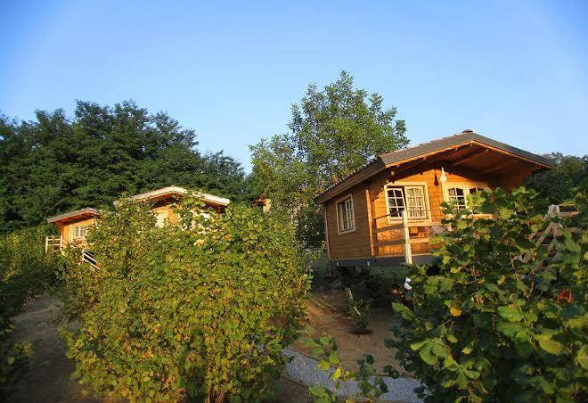 Eco lodge langhe