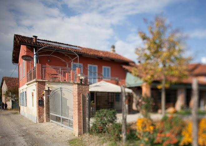 La vigna del maestro