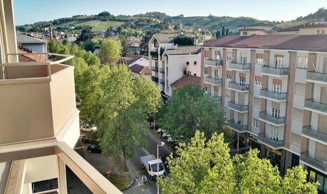 Le albarelle