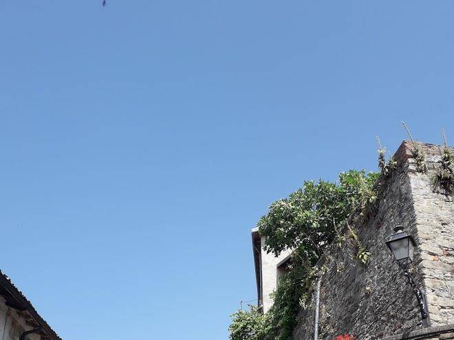 Poggio delle erbe