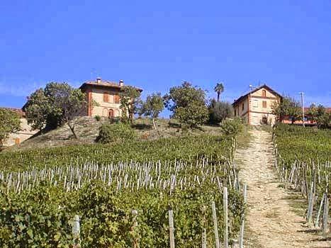 Tenuta montanello b&b