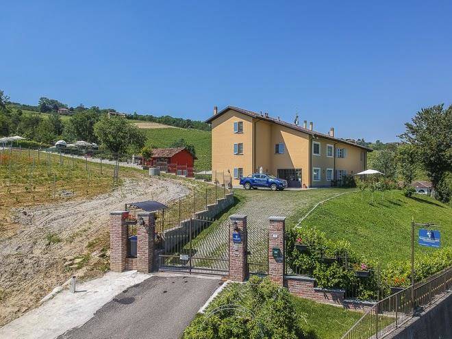Vigna dell'acqua