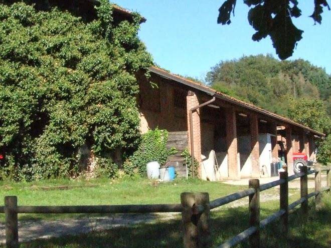 Agriturismo & ippica san michele