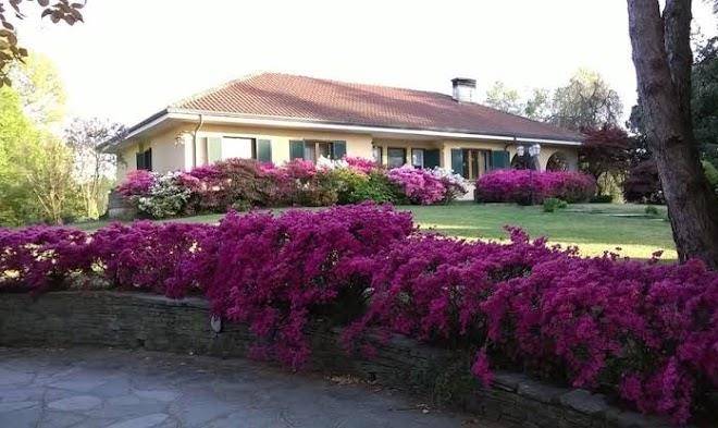 Alla Gazza Ladra Image