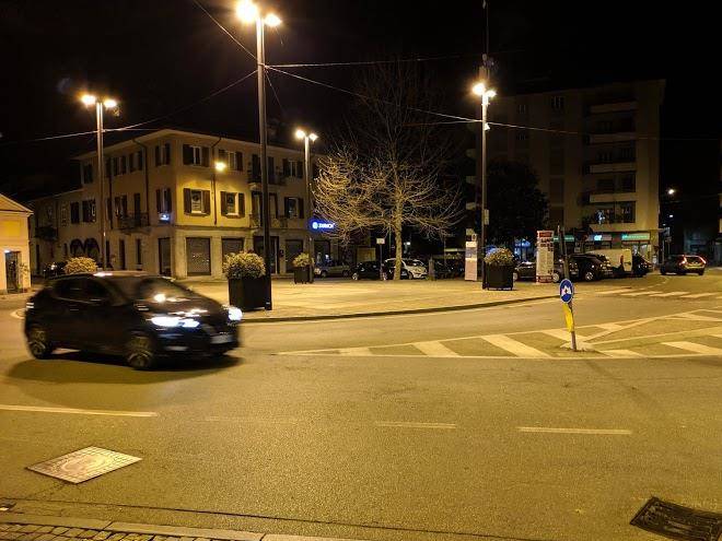 Il nido del pettirosso