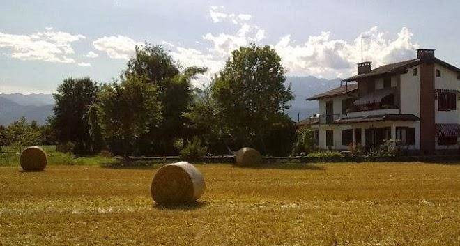 B&b i 99 ulivi