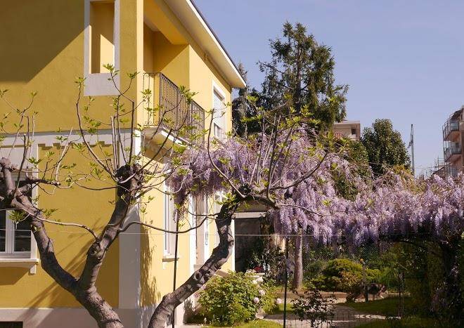 Bed and breakfast citta giardino