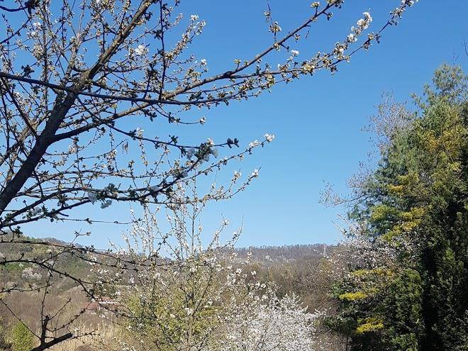 Cascina Ritana Image