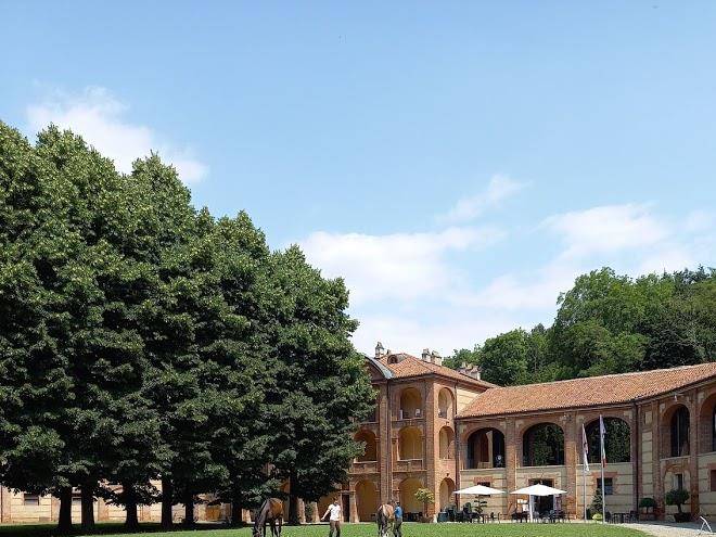 Foresteria la rubbianetta