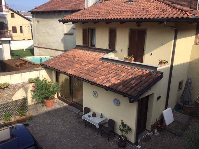 L'ulivo selvatico