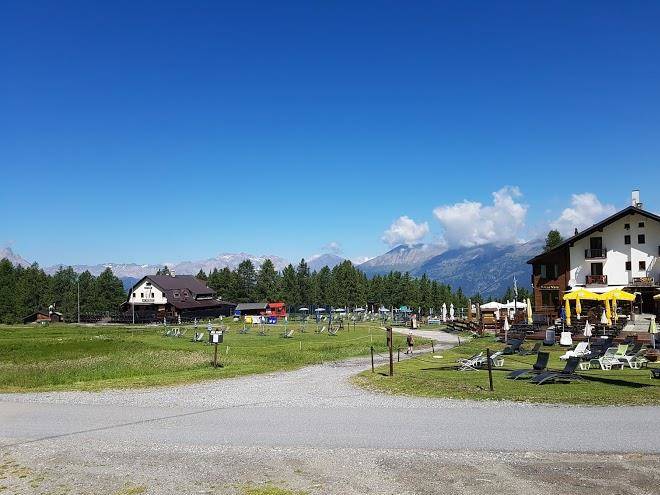 Orso bianco