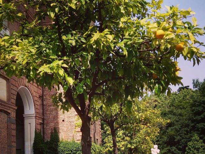 Ospitalita Rurale La Svizzera Image