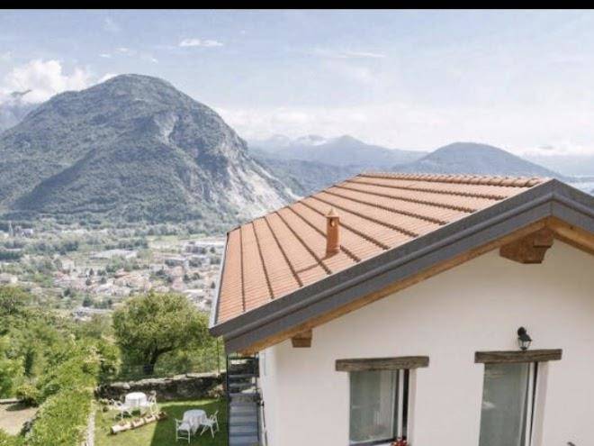 Il riccio di ricciano