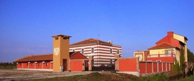 Tenuta del vecchio mulino