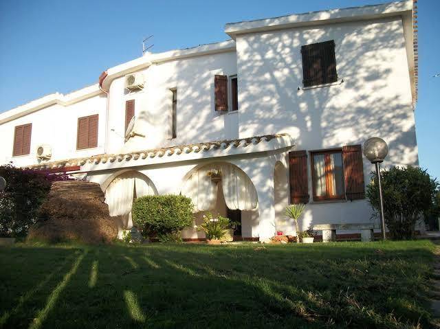 B&b helianthus