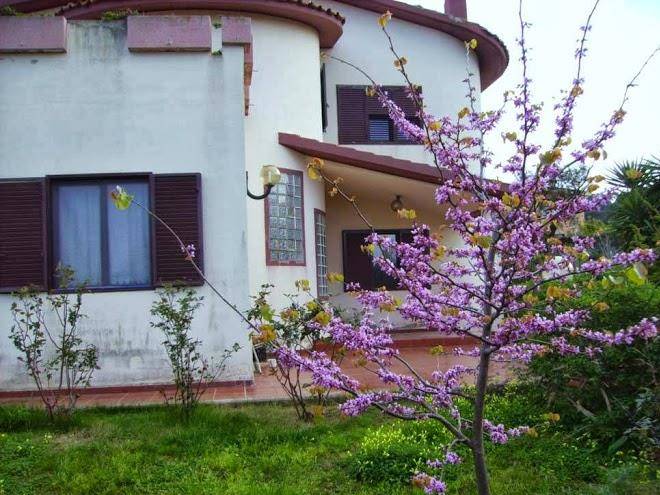 B&b la quercia