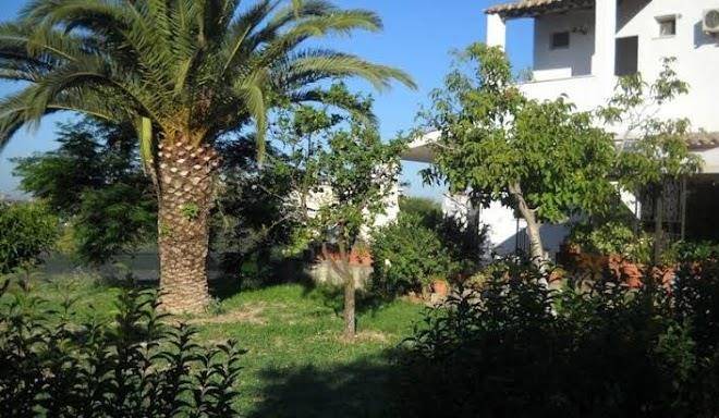 B&b belvedere sul mare