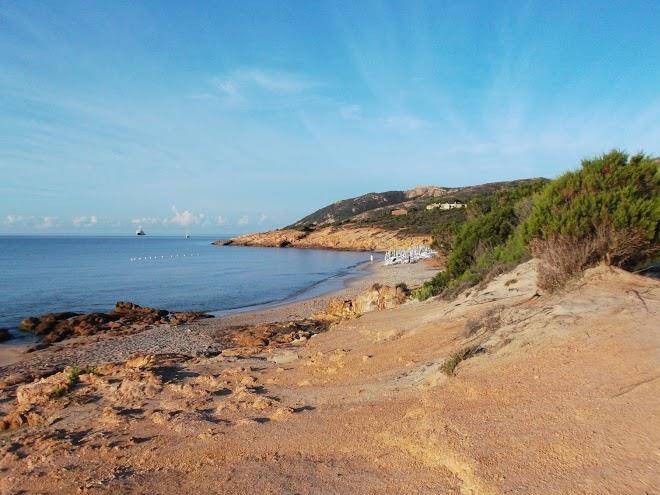 Calamarina