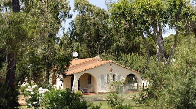 Is morus relais