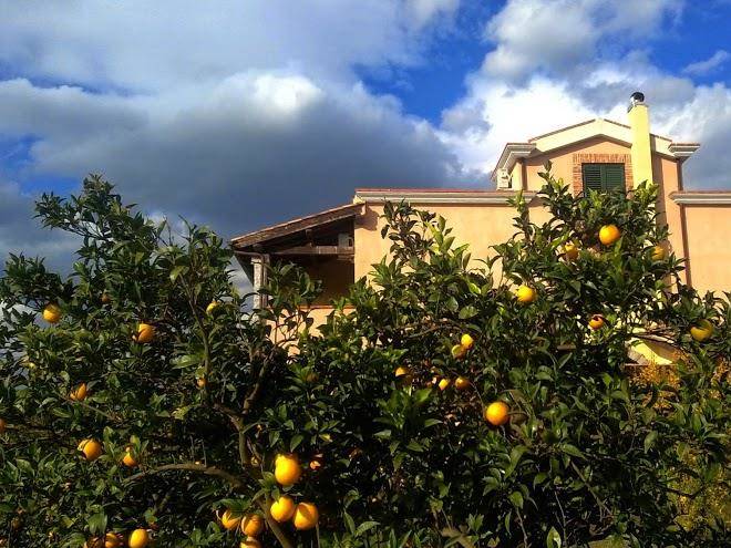 Agriturismo su canonigu