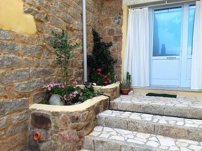 B&b mavi ollolai