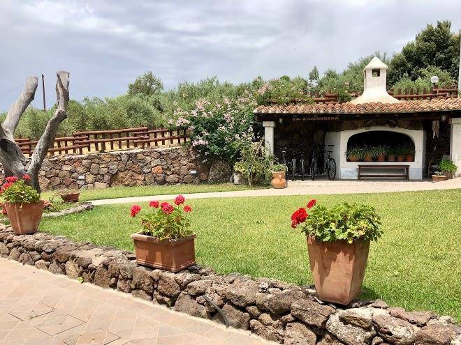 Belvedere pradonos