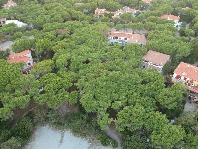 Cala liberotto