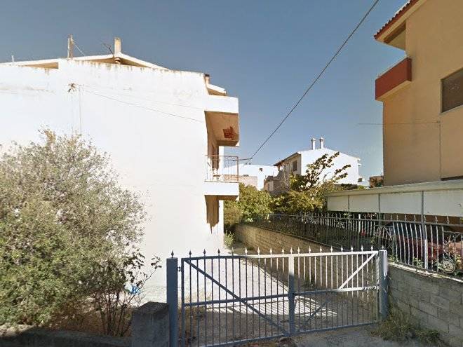 Gli olivi