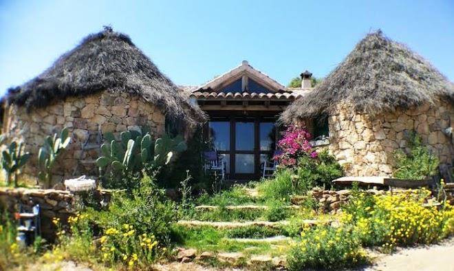 Essenza sardegna