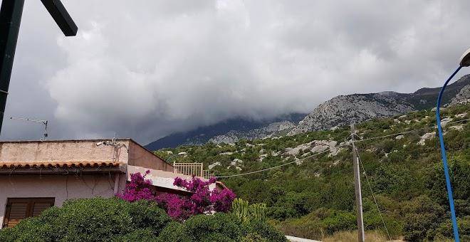 La bouganville